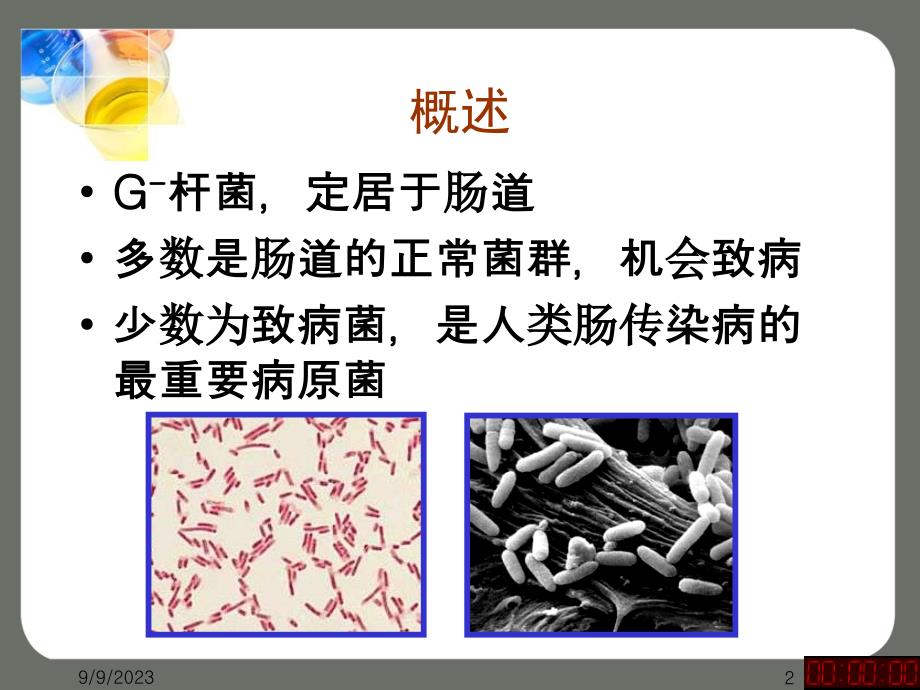 肠杆菌科教学材料_第2页