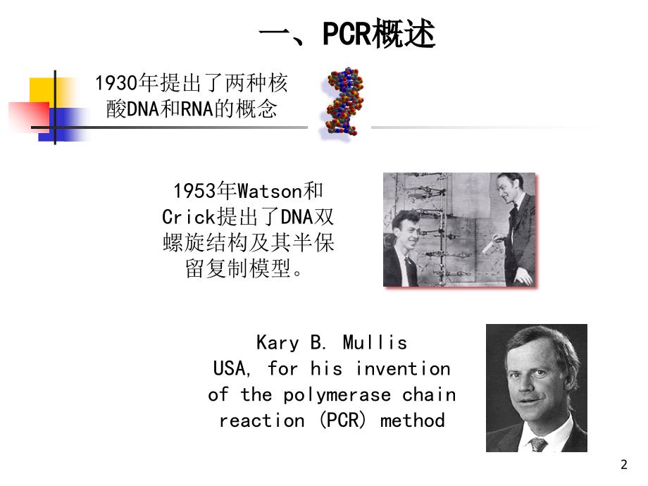 临床PCR检测技术实习生讲课（课堂PPT）_第2页