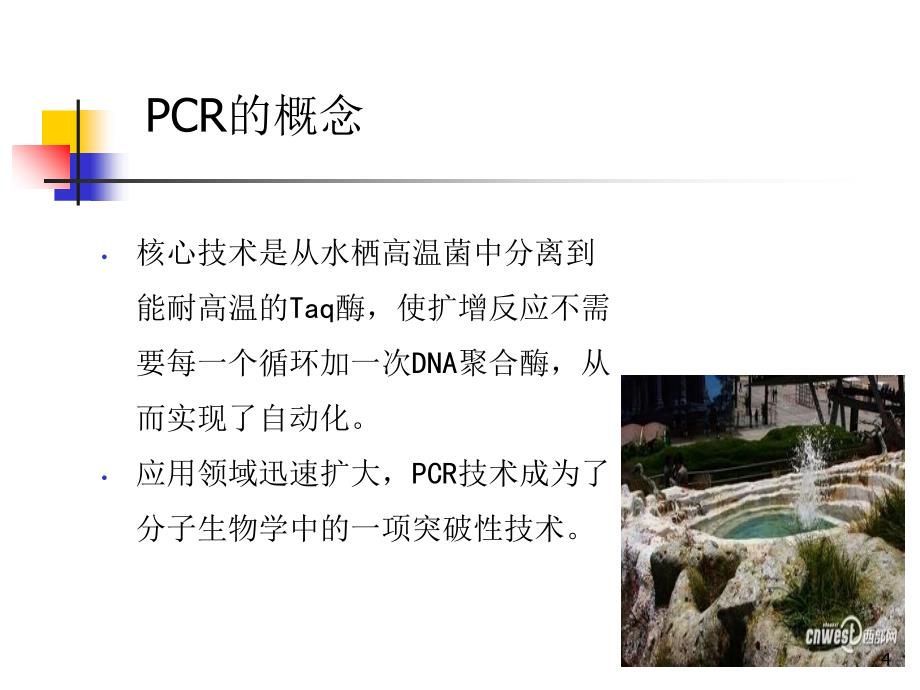 临床PCR检测技术实习生讲课（课堂PPT）_第4页