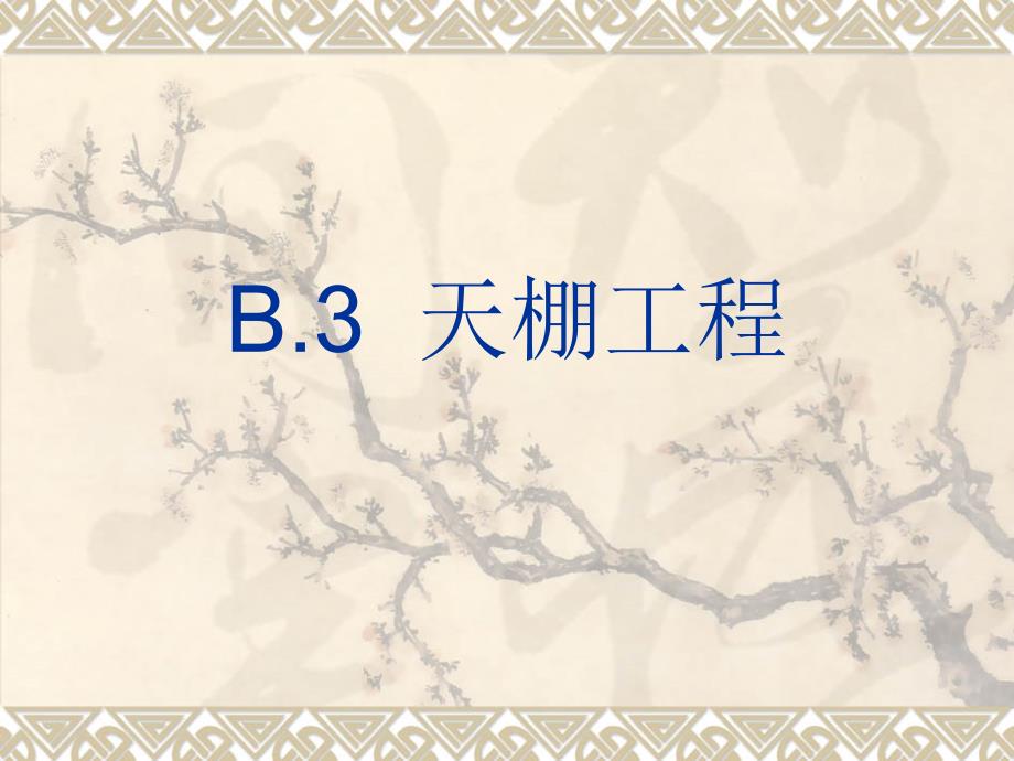 B3天棚工程精编版_第1页