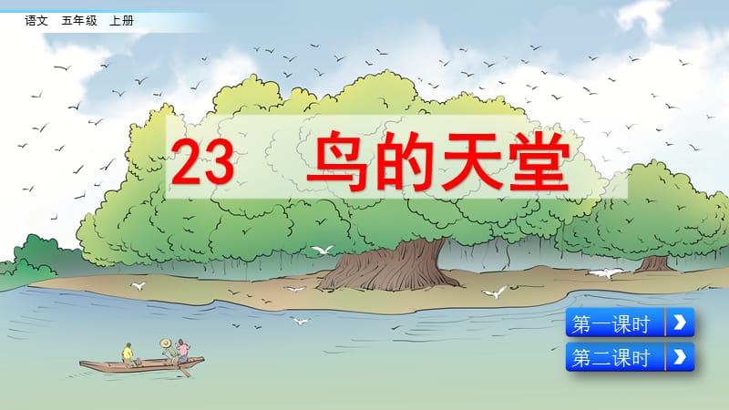 23 鸟的天堂 课件PPT（2套）【五上部编】_第4页