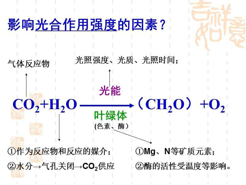 影响光合作用因素上课用要点课件_第3页