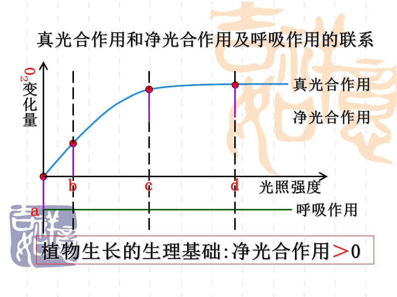 影响光合作用因素上课用要点课件_第4页