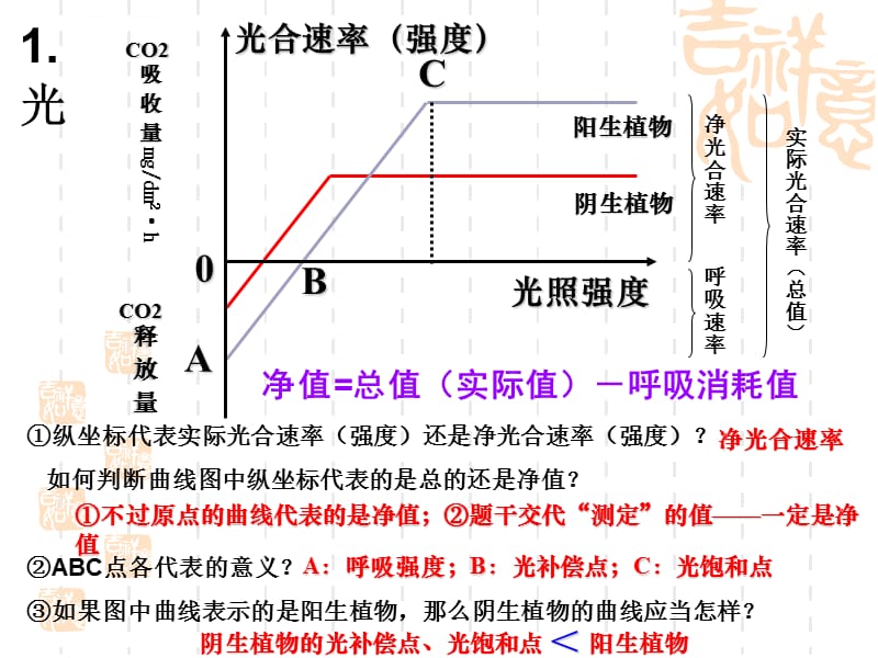 影响光合作用因素上课用要点课件_第5页