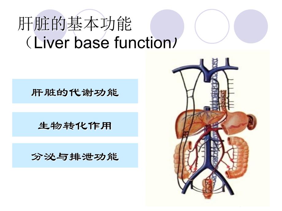 肝脏功能检查讲义教材_第2页