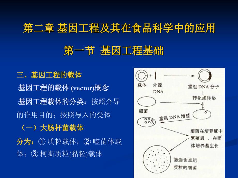 第二章基因工程及其在食品科学中的应用精编版_第1页