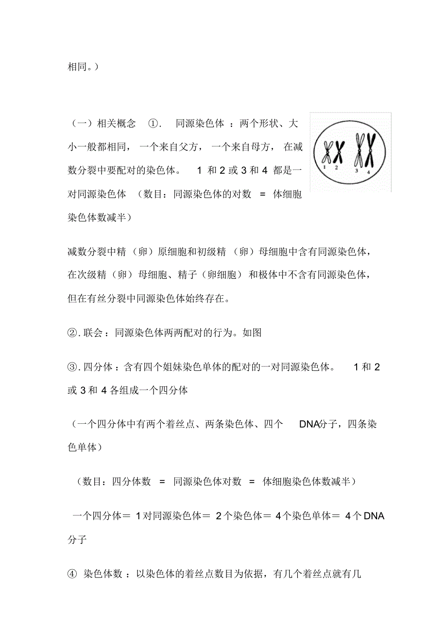 【精编】有丝分裂与减数分裂知识点整理高考专题总结完美版_第2页