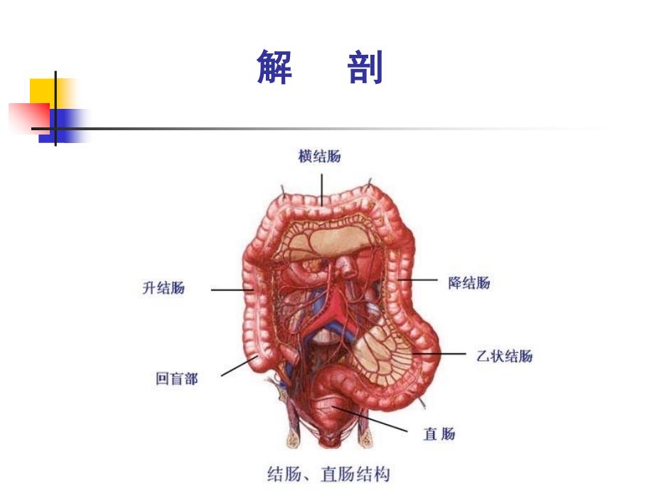 结肠、直肠肛管疾病教学教案_第2页