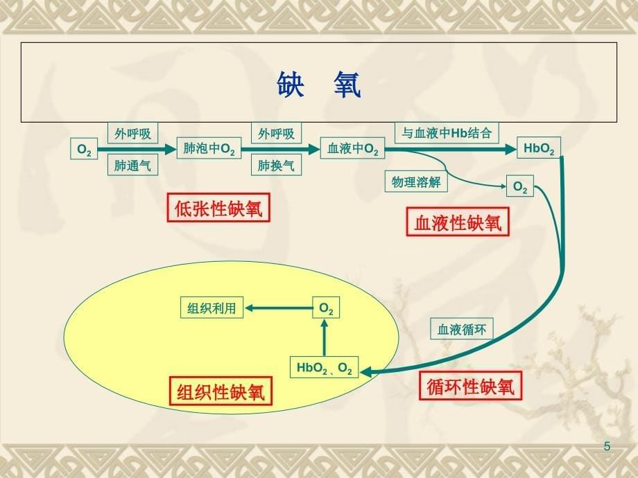 血气分析实用方法-文档资料_第5页