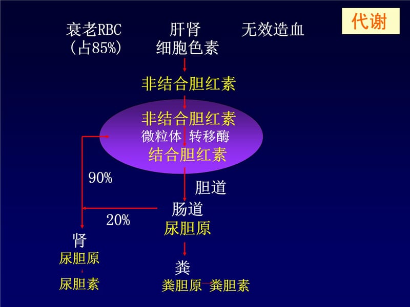 黄疸的鉴别诊断及处理教学幻灯片_第4页