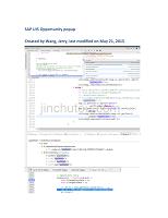 SAP UI5 Opportunity popup.docx