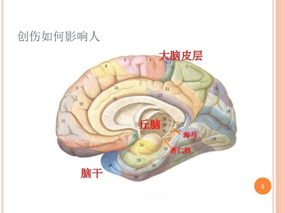 心理创伤中的稳定化技术-文档资料_第5页