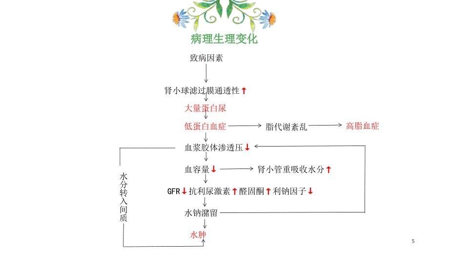 肾病综合征-文档资料_第5页