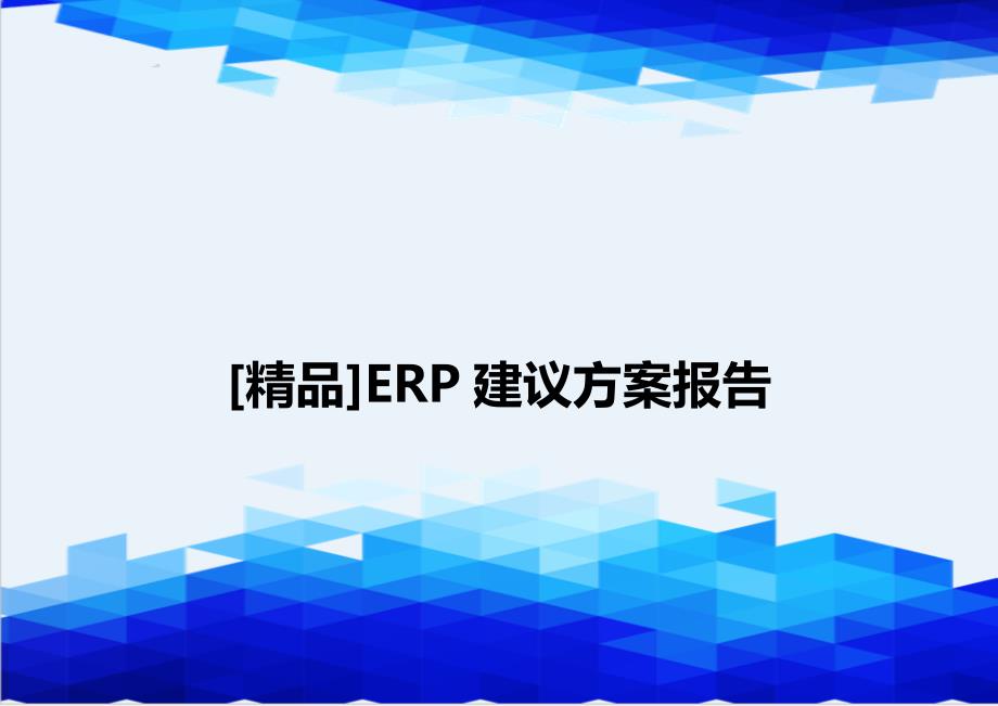 [精品]ERP建议方案报告_第1页