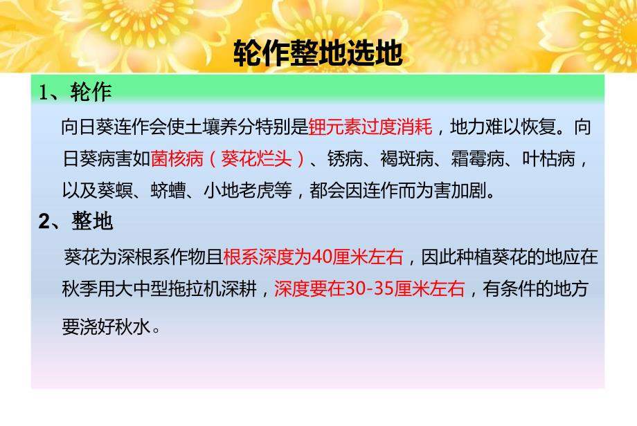 葵花种植技术培训资料讲解_第2页