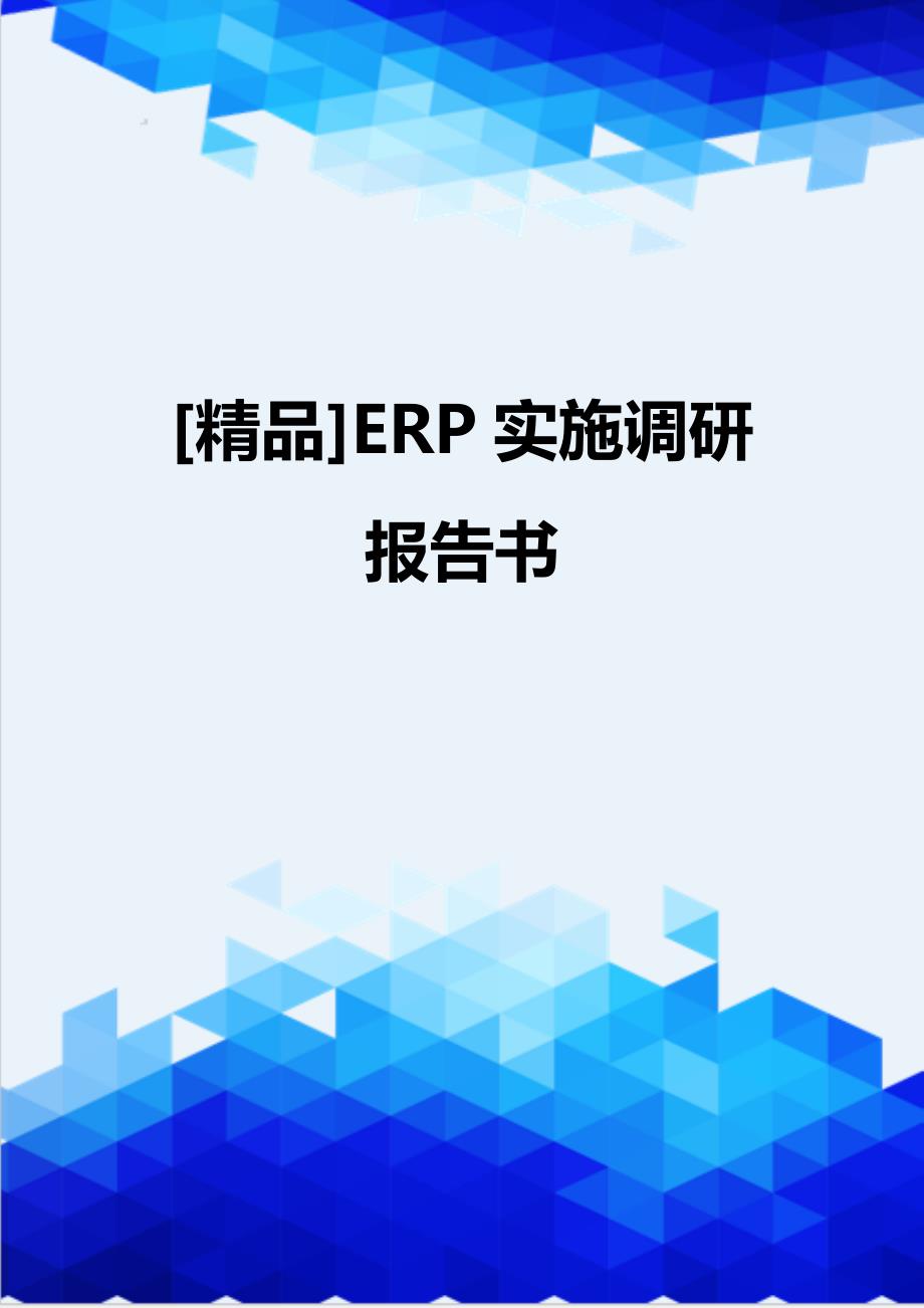 [精品]ERP实施调研报告书_第1页