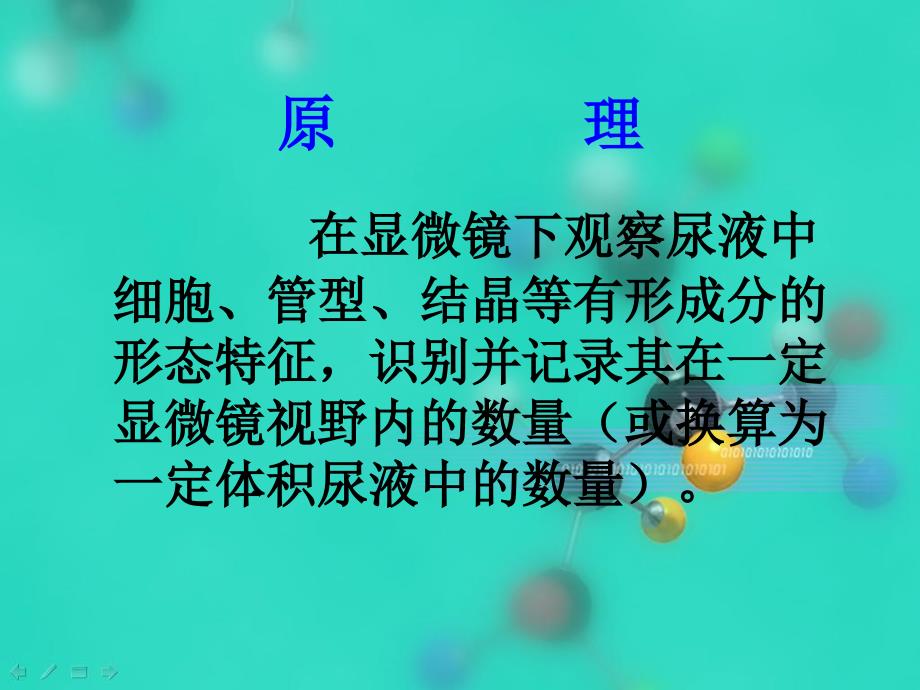 尿液沉渣分析教学教案_第3页