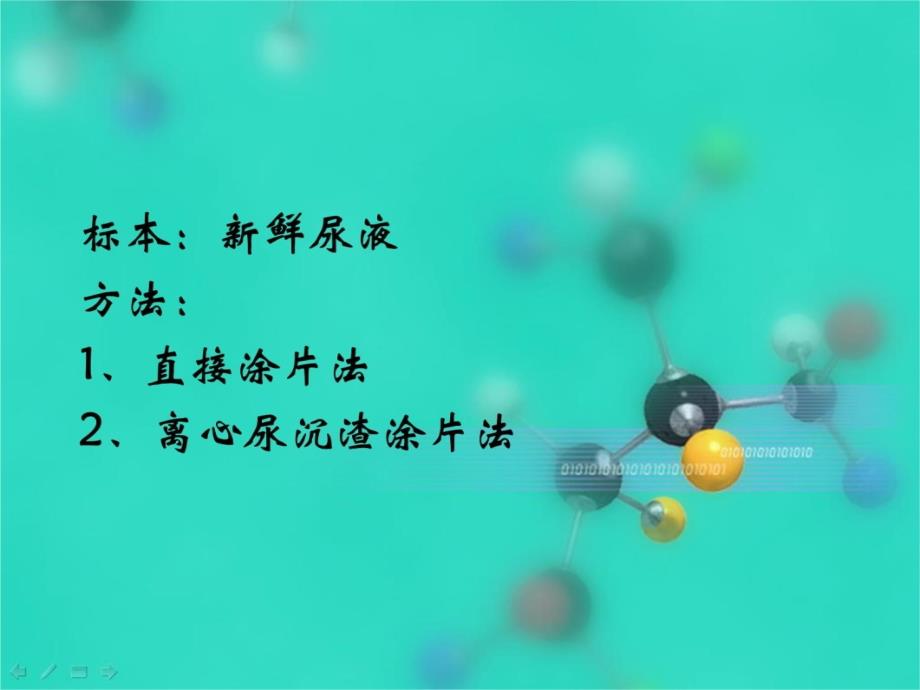 尿液沉渣分析教学教案_第4页