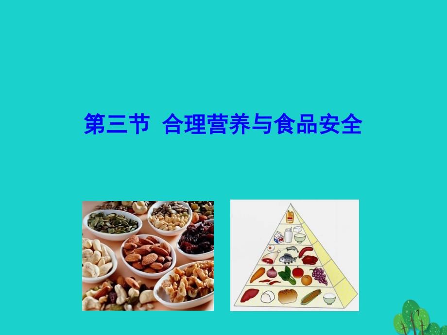 七年级生物下册4.2.3合理营养与食品安全课件新版新人教版20200302366.ppt_第1页