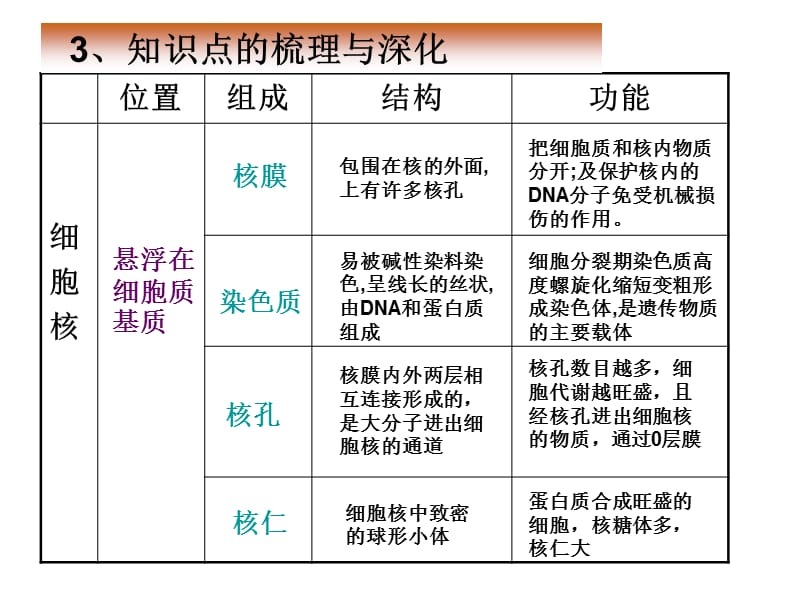 2014一轮复习细胞核——系统的控制中心_第5页