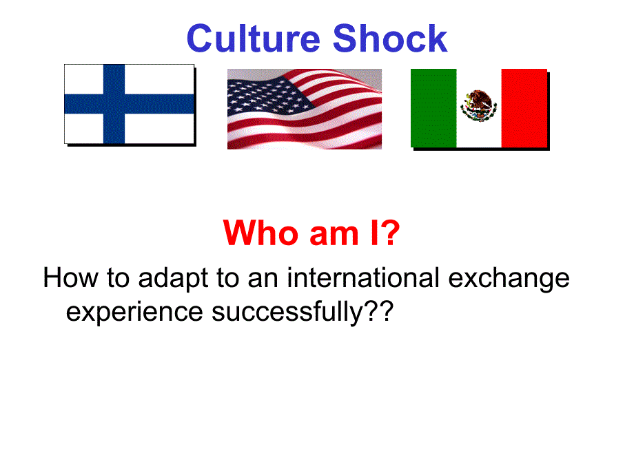 cultureshock跨文化交际_第2页