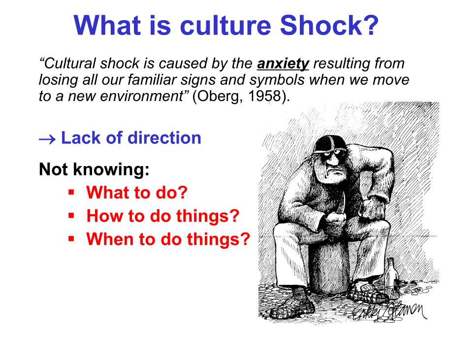 cultureshock跨文化交际_第4页