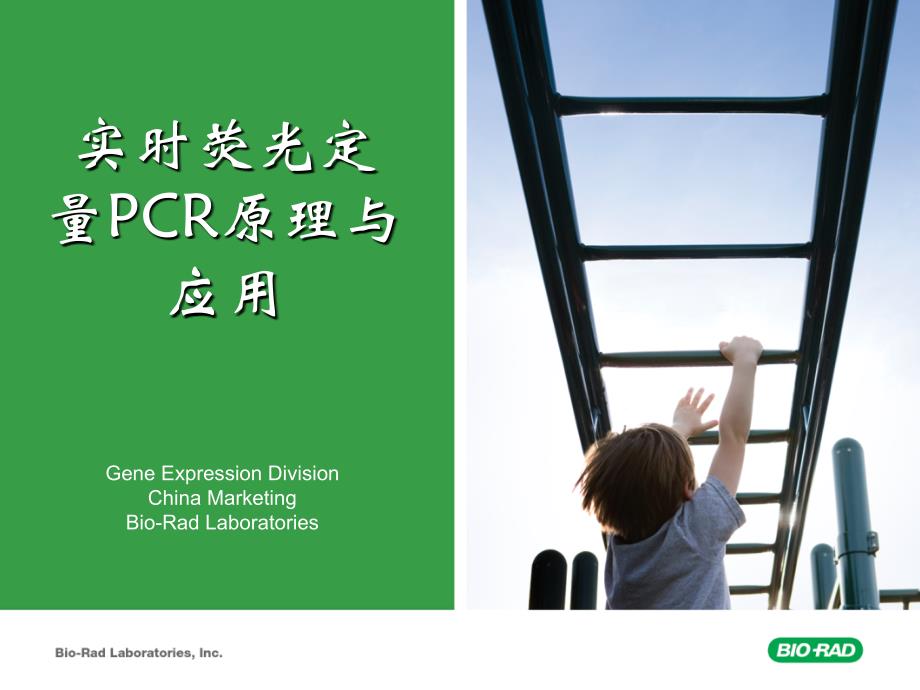 CFX96实时荧光定量PCR培训教材PPT_第1页