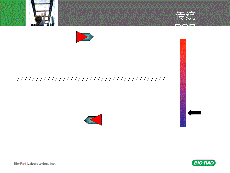 CFX96实时荧光定量PCR培训教材PPT_第4页