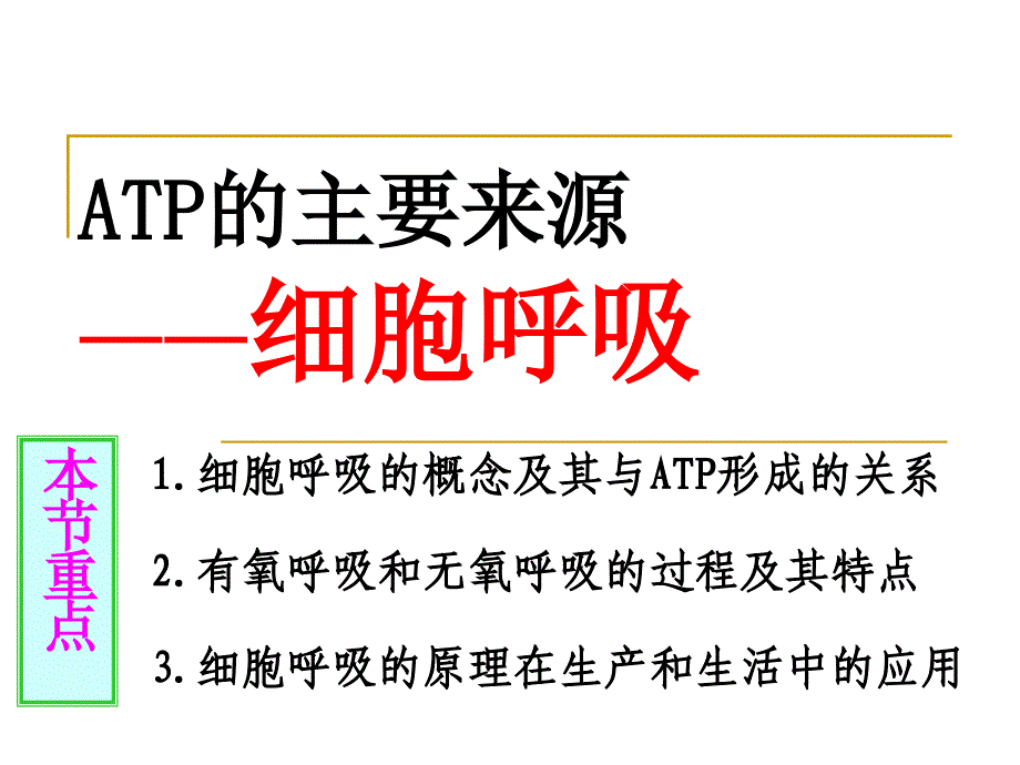 必修一5.3ATP的主要来源——细胞呼吸_第4页