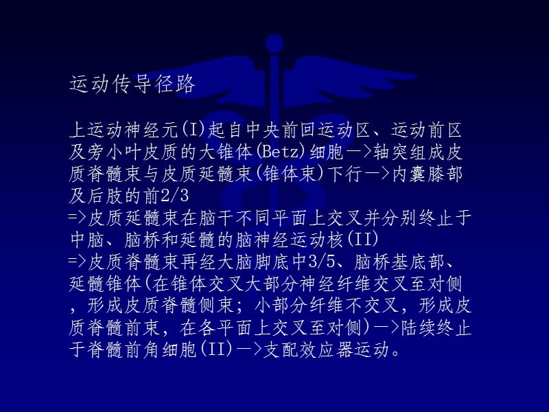 协和：神经系统定位诊断2ppt课件_第4页