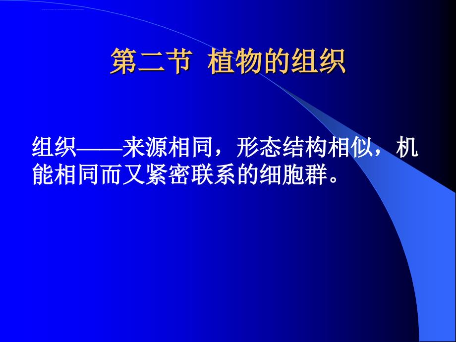 第二节植物的组织课件_第1页