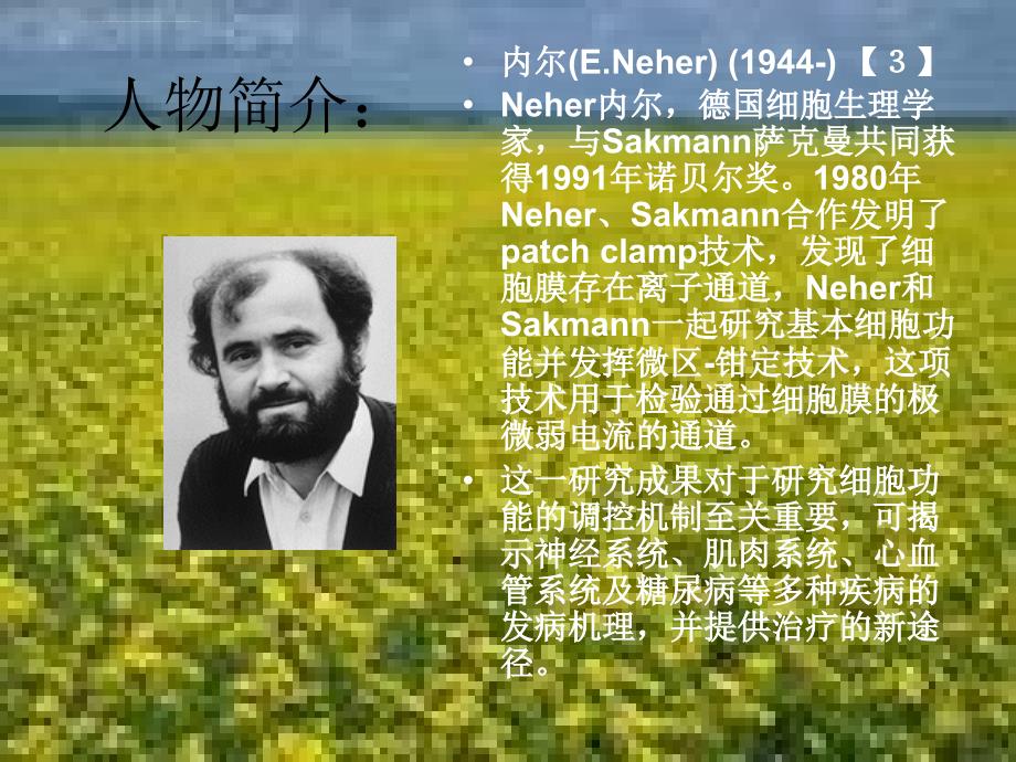 1991年诺贝尔生理医学奖_课件_第2页