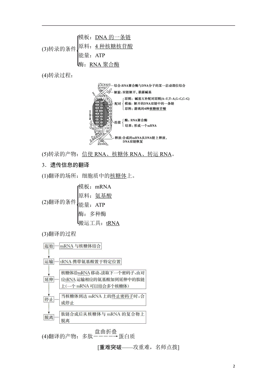 备战2021届高考生物一轮专题复习：第3讲基因的表达-教案_第2页