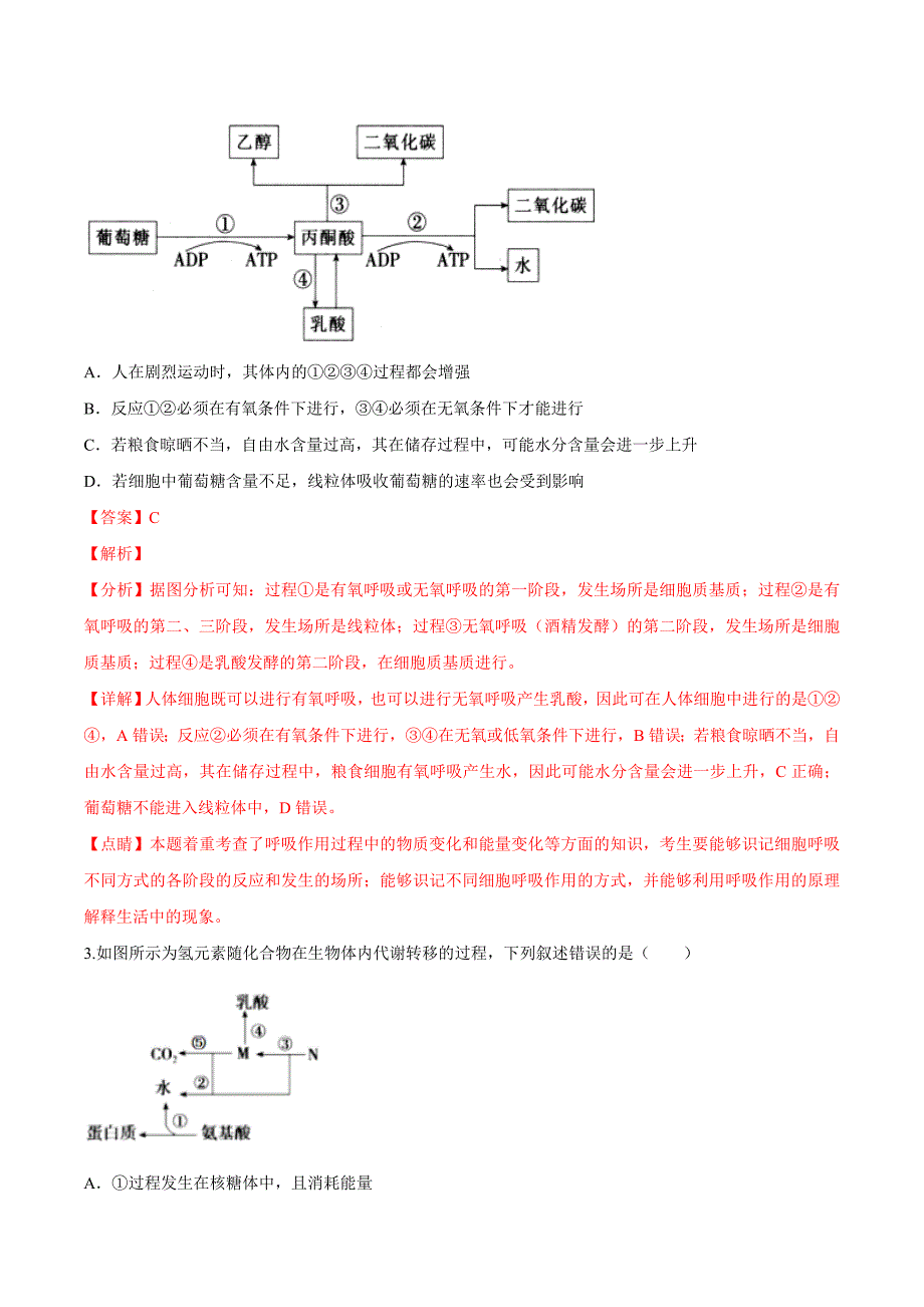 考点07 细胞呼吸-2020年衔接教材新高三一轮复习生物（解析版）_第2页