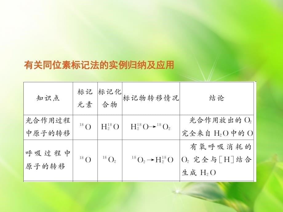 2012高考生物――构成细胞的化合物课件_第5页