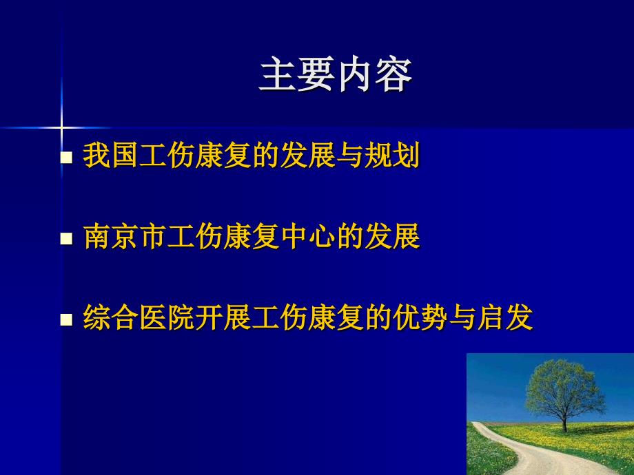 李雪萍综合医院工伤康复中心发展模式119教材课程_第2页