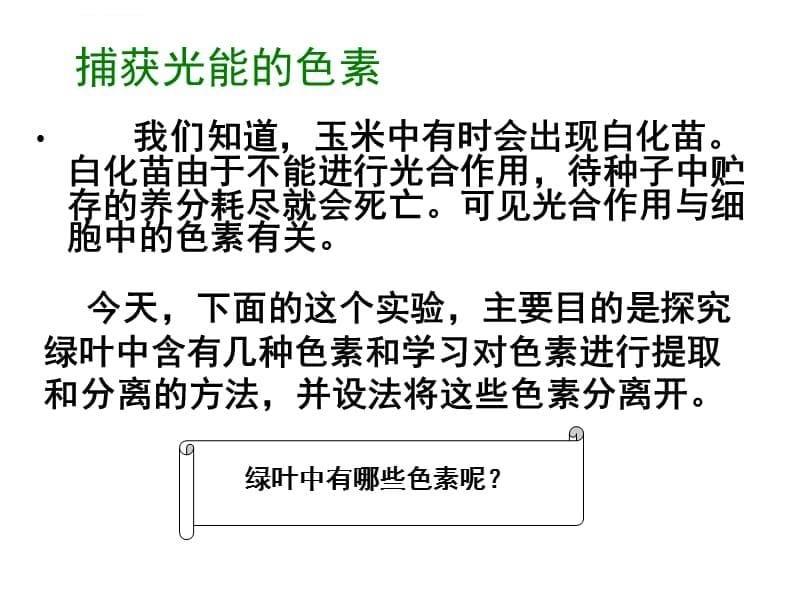 第五章第四节《能量之源——光与光合作用》ppt执教课件_第5页