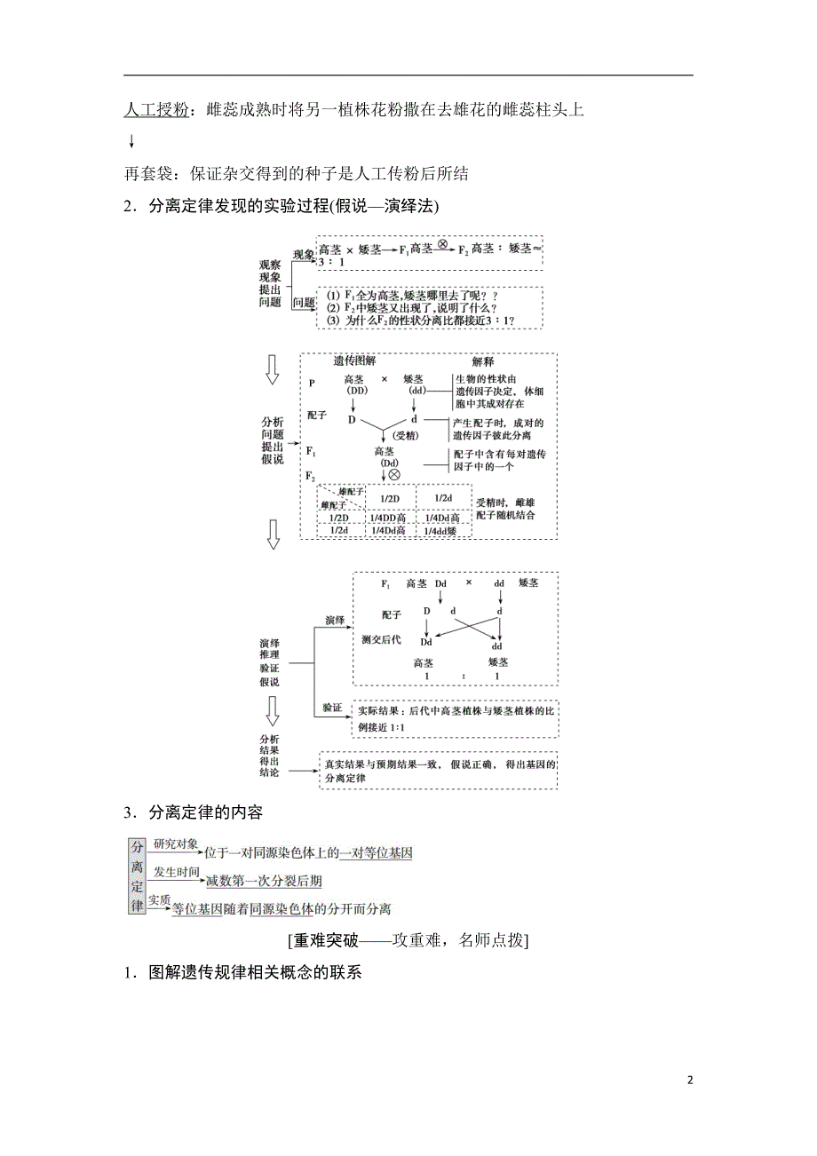 备战2021届高考生物一轮专题复习：第1讲基因的分离定律-教案_第2页