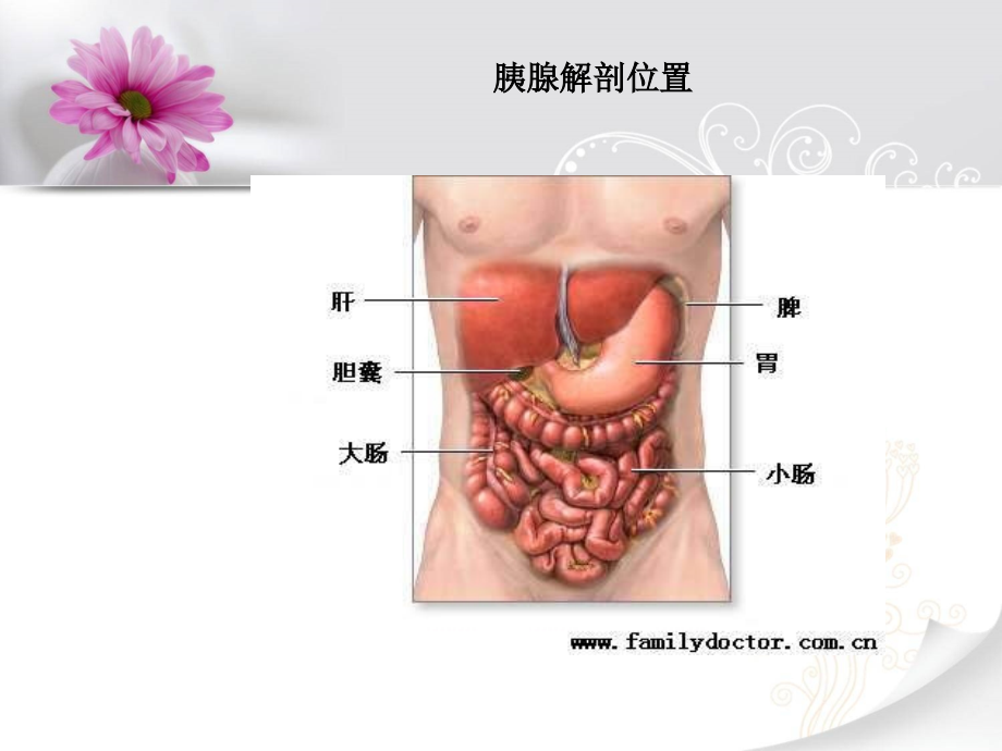 急性胰腺炎的护理查房PPT_第4页