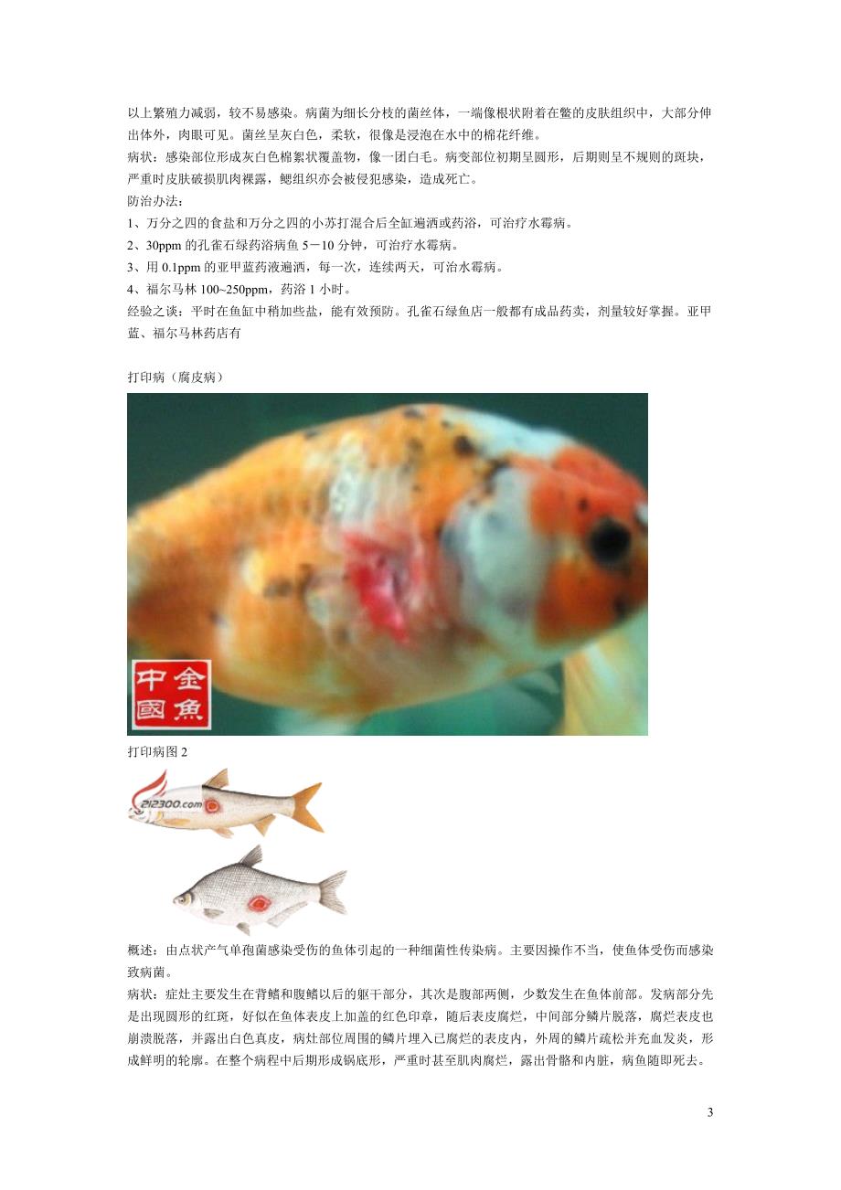 关于图解常见金鱼疾病的防治_第3页