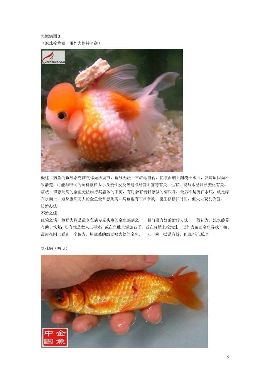 关于图解常见金鱼疾病的防治_第5页