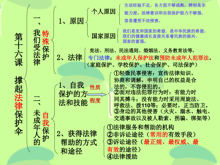 鲁教版七下第七单元学会依法保护自己第16课撑起法律保护伞复习课共21张教学教材_第3页