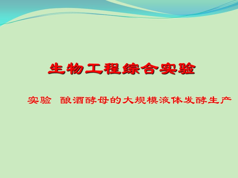 酿酒酵母的大规模液体发酵生产电子教案_第1页