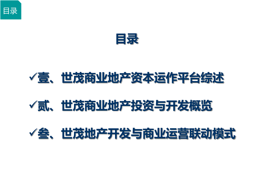 {商业模式}世茂商业地产战略与模式解析_第2页