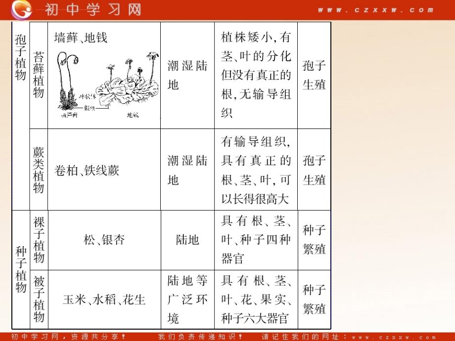 2011年生物中考专题4 生物圈中的人 课件_第3页