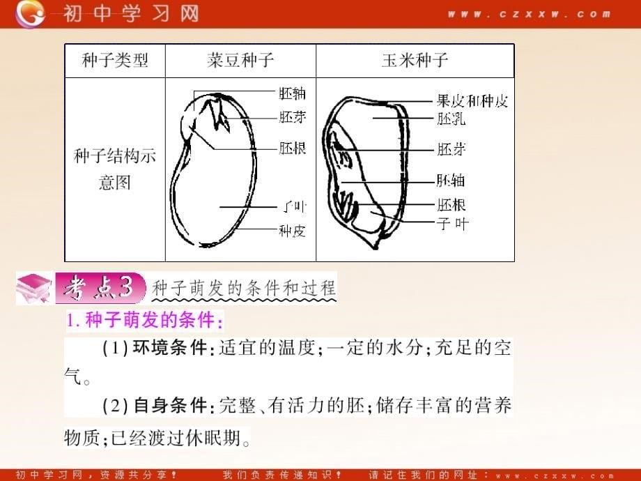 2011年生物中考专题4 生物圈中的人 课件_第5页