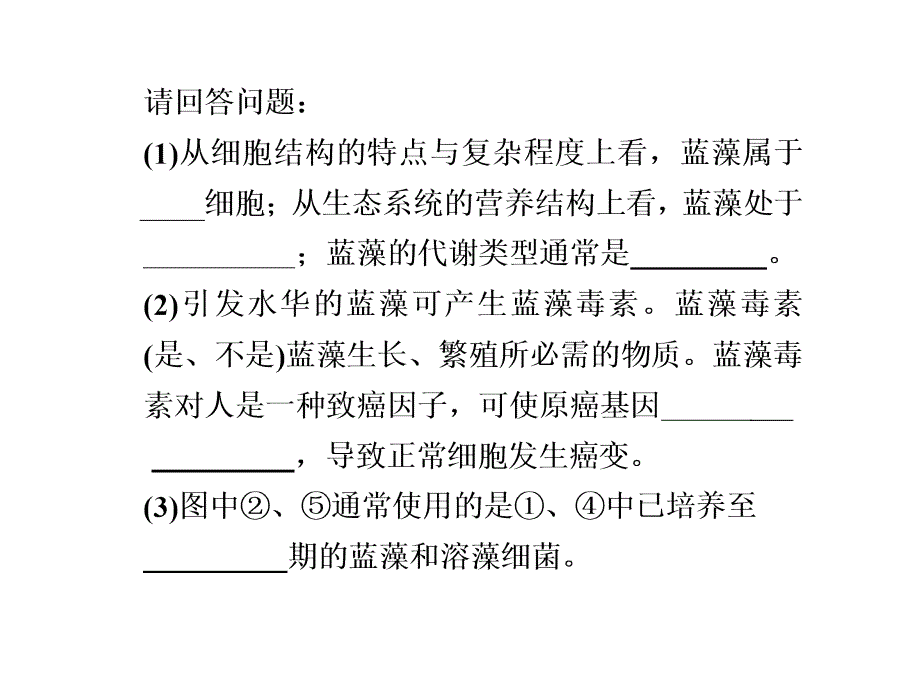 第二部分专题三第四讲课件_第4页