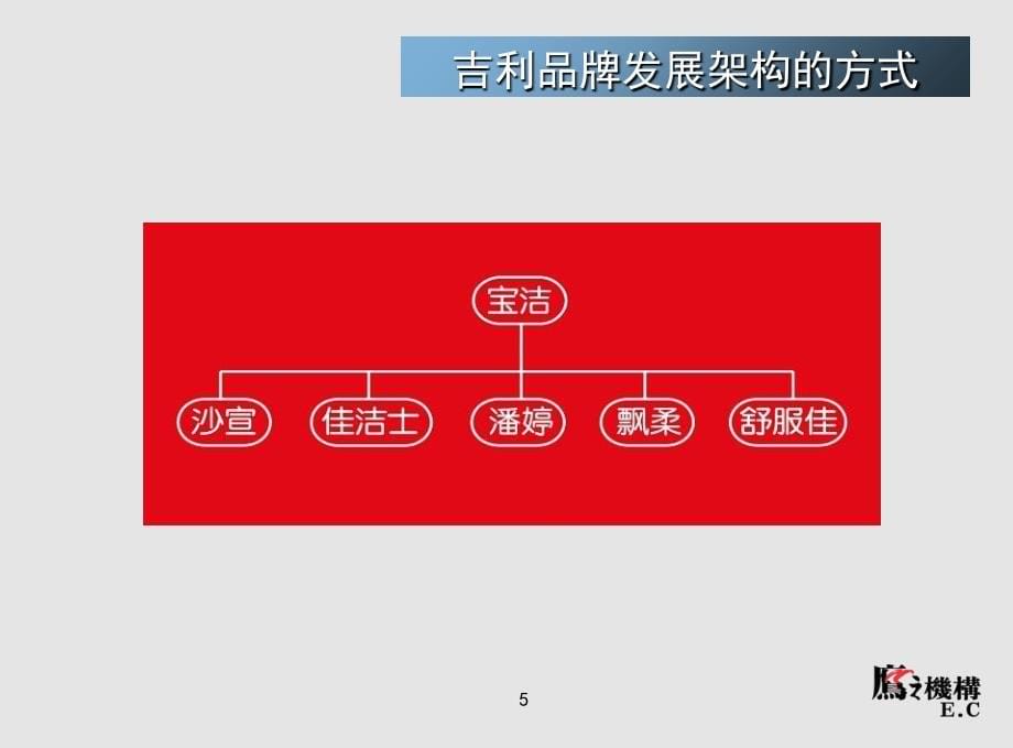 4A广告策划提案--企业品牌战略定位(吉利)电子教案_第5页