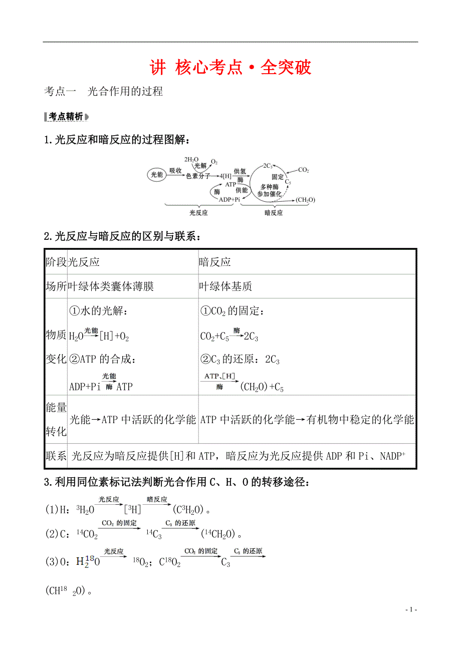 备战2021届高考生物一轮专题复习第4讲能量之源——光与光合作用-教案_第1页