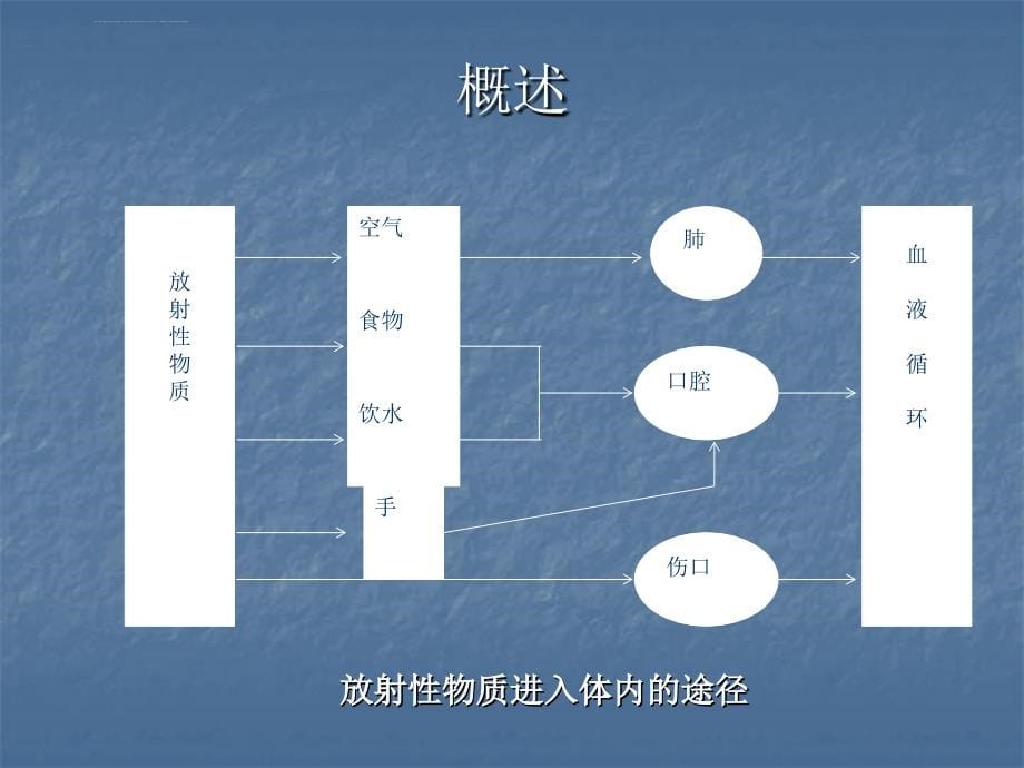 第八章内照射及其防护课件_第5页